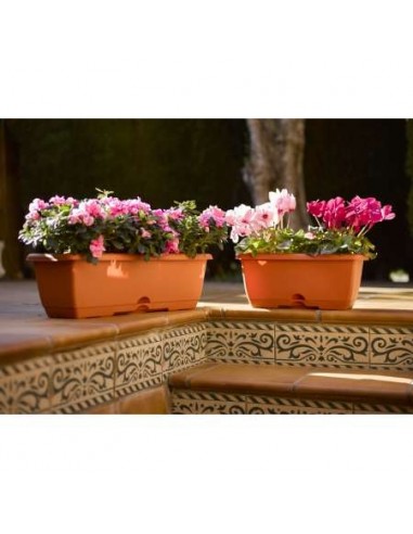 JARDINERA BALCONERA PLASTICA 40 S/ SOPOR