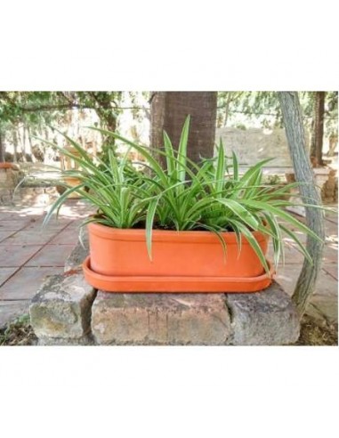 PLATO JARDINERA ALARGADA BARRO 37CM