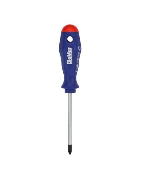 DESTORNILLADOR BIGMAT PHILIPS PH2X100