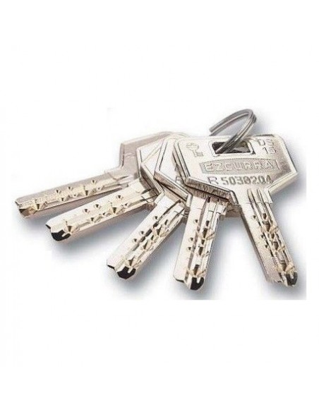 COPIA LLAVE ESPECIAL SEGURIDAD PUNTOS