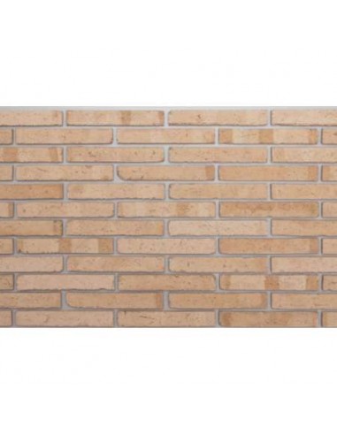 LADRILLO MANUAL CLARO HIDRO.238X114X37MM