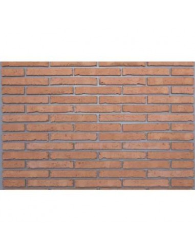 LADRILLO MANUAL LEVANTE HIDR.238X114X37