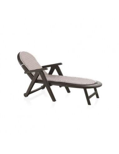 TUMBONA MOD CAIMAN WENGUE C/COJIN