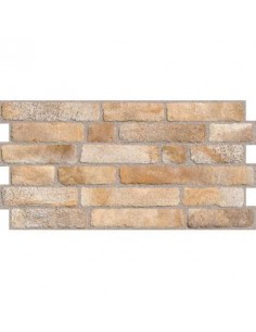 M2 33X66 CARAVISTA 103 1,03M2/CJ