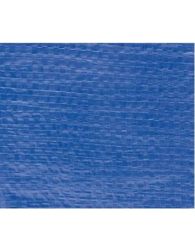 TOLDO PROTEX 120GRS AZUL 5,80X9,90M