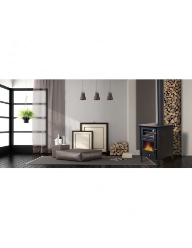 CHIMENEA DE LEÑA NERVA CON HORNO