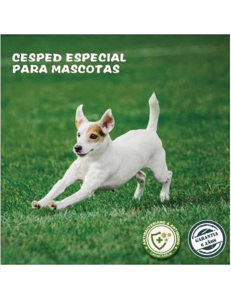 M2. CESPED ARTIFICIAL ARGO HOJA DE 30MM ROLLO DE 2M DE ANCHO X 10ML DE LARGO, UN ROLLO TIENE 20M2