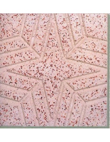 M2 40X40 PASTILLA ACERA ESTRELLA BLANCA