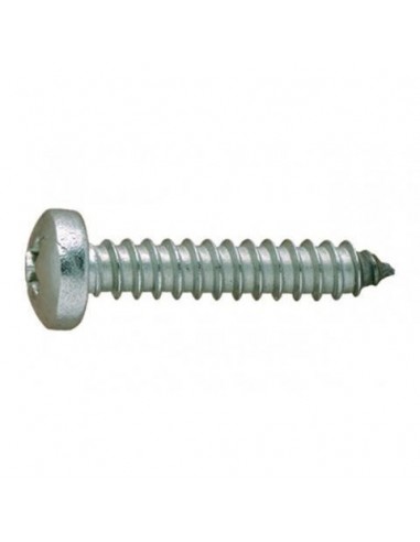 TORNILLO R.CHAPA C/ALO 4,2X38 D7981HP