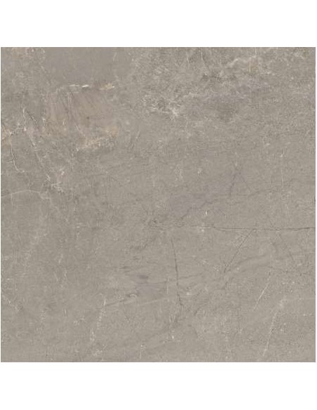 M260X60 PORCELTEMPO ASH R MATE 144M2