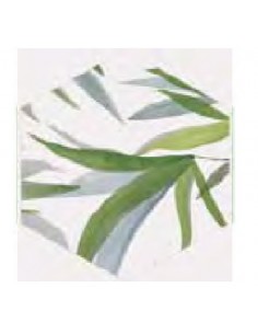 M233X285 OASIS  REALO1M2/CAJA