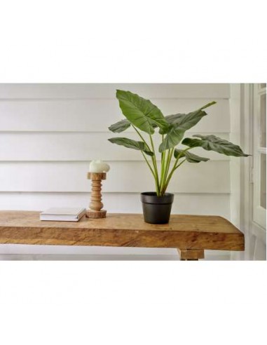 PLANTA TARO DE PLASTICO MACETA  8HOJAS
