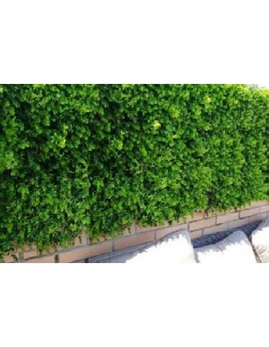 JARDIN VERTICAL OCULTACION ARTIFICIAL...