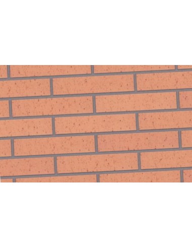 CARAVISTA 5X12X24 SALMON CORCHO