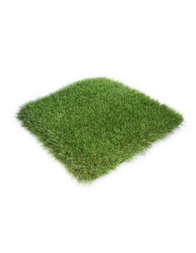 CESPED ARTIFICRAINNING TERRE 45MM 2X5ML