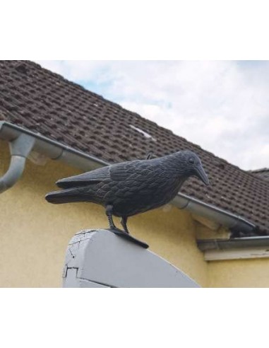 CUERVO SEÑUELO ESPANTAPAJAROS 33X20X12
