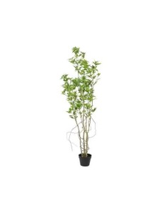 PLANTA ARTIFICIAL ARBOL DE PIERIS MACETA