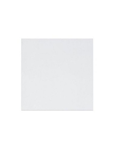 M2 20X20 BLANCO BR.BIGMAT VILLAJOYOSA M2